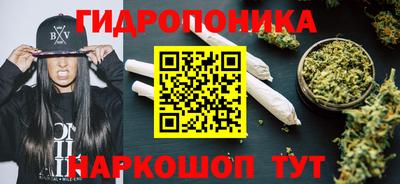 гашик Уссурийск