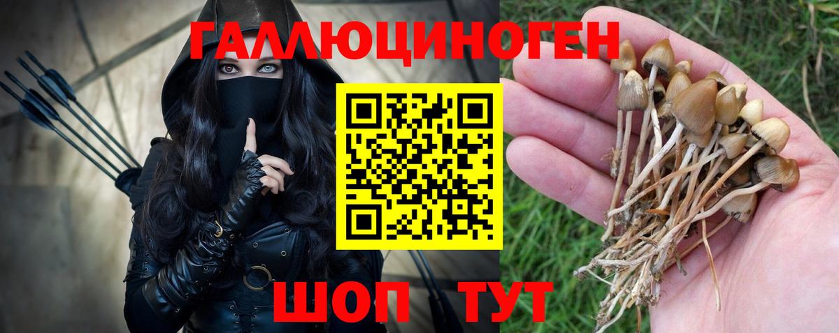 Галлюциногенные грибы Cubensis Саранск